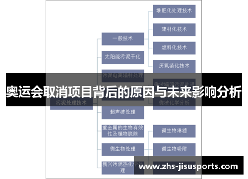 奥运会取消项目背后的原因与未来影响分析